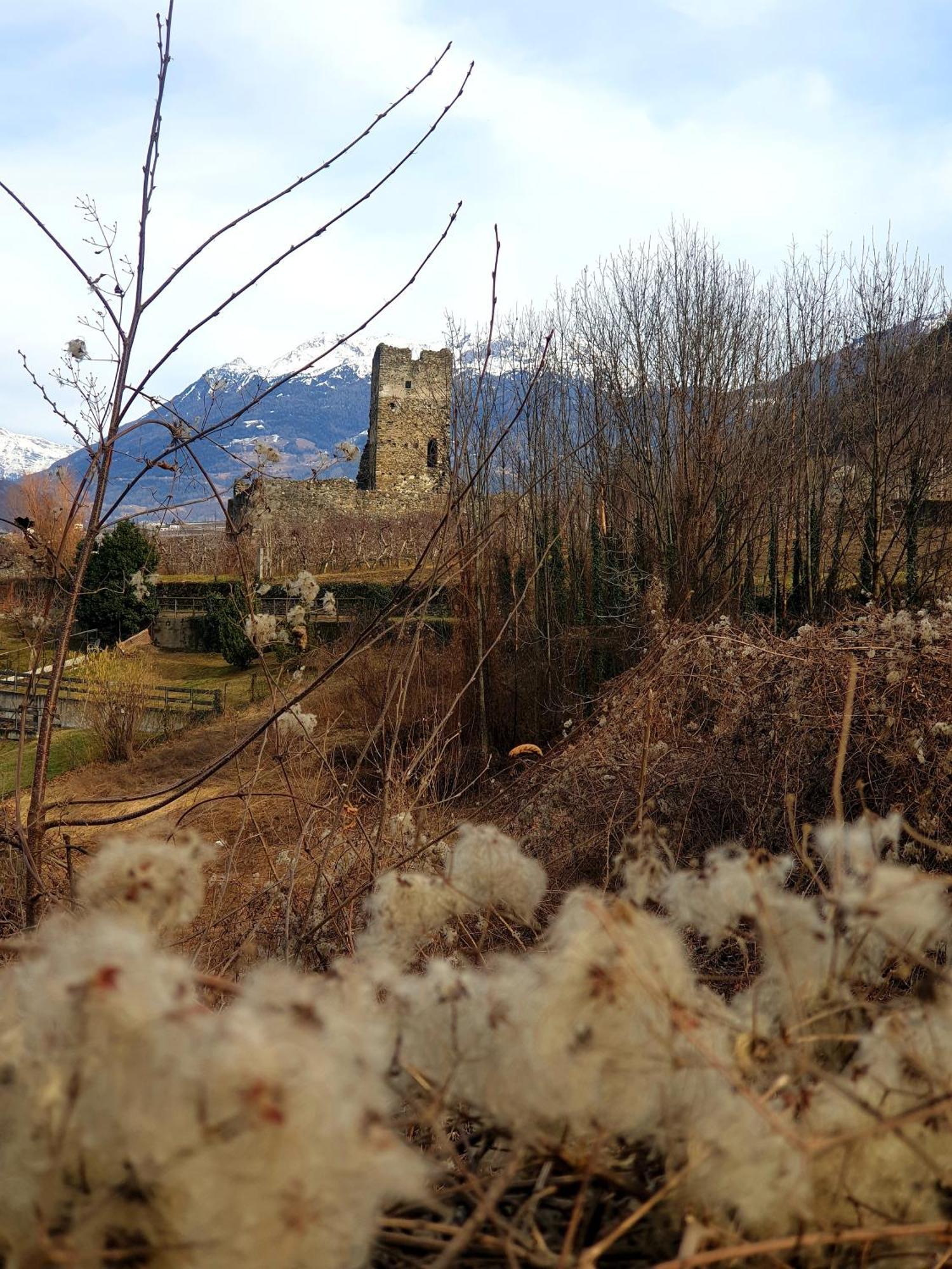Il Rosone Apartment Tirano Exterior photo